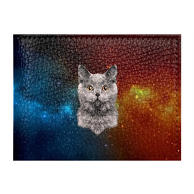 Обложка для студенческого билета с принтом Кот в космосе! в Тюмени, натуральная кожа | Размер: 11*8 см; Печать на всей внешней стороне | 3d | cat | арт | взгляд | вселенная | звезды | земля | космос | кот | кот хипстер | котёнок | котятки | котятушки | кошечки | кошка | мордочка | плеяды | пространство | созвездие
