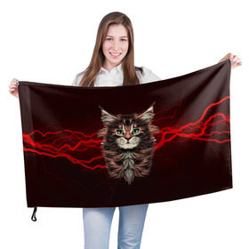 Флаг 3D с принтом Electro cat в Тюмени, 100% полиэстер | плотность ткани — 95 г/м2, размер — 67 х 109 см. Принт наносится с одной стороны | cat | взгляд | кот | кот хипстер | котёнок | котятки | кошка | молния | мордочка | разряд | электричество