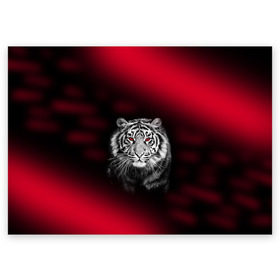 Поздравительная открытка с принтом Тигр красные глаза в Тюмени, 100% бумага | плотность бумаги 280 г/м2, матовая, на обратной стороне линовка и место для марки
 |  хищник | багровый | большая кошка | глаза. красные | красный | кровавый | тигр