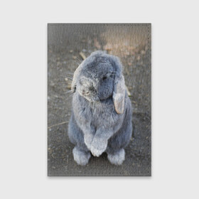 Обложка для паспорта матовая кожа с принтом Кролик в Тюмени, натуральная матовая кожа | размер 19,3 х 13,7 см; прозрачные пластиковые крепления | Тематика изображения на принте: грызун | животные | заяц | кролик | мордочка | природа | пушистый | уши