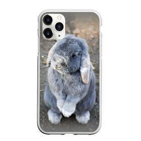 Чехол для iPhone 11 Pro Max матовый с принтом Кролик в Тюмени, Силикон |  | грызун | животные | заяц | кролик | мордочка | природа | пушистый | уши
