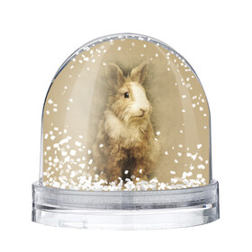 Водяной шар с принтом Кролик в Тюмени, Пластик | Изображение внутри шара печатается на глянцевой фотобумаге с двух сторон | грызун | животные | заяц | кролик | мордочка | природа | пушистый | уши