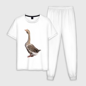 Мужская пижама хлопок с принтом Gus power в Тюмени, 100% хлопок | брюки и футболка прямого кроя, без карманов, на брюках мягкая резинка на поясе и по низу штанин
 | белый | гуси | животные | птицы