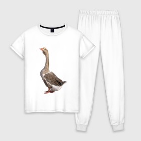 Женская пижама хлопок с принтом Gus power в Тюмени, 100% хлопок | брюки и футболка прямого кроя, без карманов, на брюках мягкая резинка на поясе и по низу штанин | белый | гуси | животные | птицы