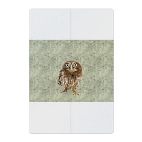 Магнитный плакат 2Х3 с принтом Удивленная сова в Тюмени, Полимерный материал с магнитным слоем | 6 деталей размером 9*9 см | орнамент | сова