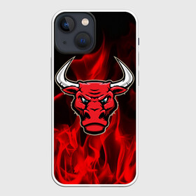 Чехол для iPhone 13 mini с принтом Angry bull в Тюмени,  |  | Тематика изображения на принте: 3d | angry bull | in fire | бык | в огне | дым | животные | мощь | огненный | огонь | пламя | пожар | сила | стихия