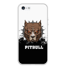 Чехол для iPhone 5/5S матовый с принтом Pitbull в Тюмени, Силикон | Область печати: задняя сторона чехла, без боковых панелей | Тематика изображения на принте: 3d | dog | pitbull | абстракция | животные | краска | собака | черно белый