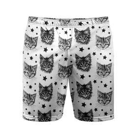 Мужские шорты 3D спортивные с принтом Котики в Тюмени,  |  | Тематика изображения на принте: звезды | кот | котенок | котик | котики | котята | кошка | орнамент | узор