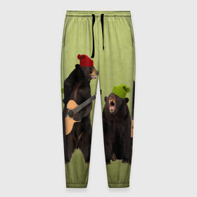 Мужские брюки 3D с принтом 2 медведя и гитара в Тюмени, 100% полиэстер | манжеты по низу, эластичный пояс регулируется шнурком, по бокам два кармана без застежек, внутренняя часть кармана из мелкой сетки | животные | музыка