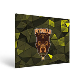 Холст прямоугольный с принтом Pitbulls в Тюмени, 100% ПВХ |  | Тематика изображения на принте: dog | pitbulls | абстракция | геометрия | животные | собака | треугольники | цепь