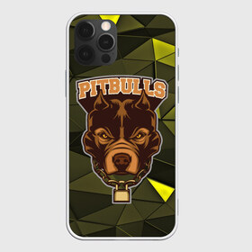 Чехол для iPhone 12 Pro Max с принтом Pitbulls в Тюмени, Силикон |  | Тематика изображения на принте: dog | pitbulls | абстракция | геометрия | животные | собака | треугольники | цепь
