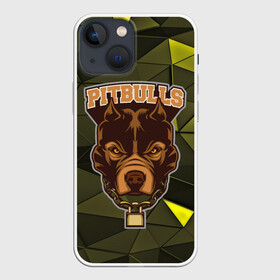 Чехол для iPhone 13 mini с принтом Pitbulls в Тюмени,  |  | dog | pitbulls | абстракция | геометрия | животные | собака | треугольники | цепь