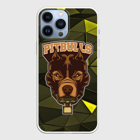 Чехол для iPhone 13 Pro Max с принтом Pitbulls в Тюмени,  |  | Тематика изображения на принте: dog | pitbulls | абстракция | геометрия | животные | собака | треугольники | цепь