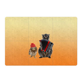 Магнитный плакат 3Х2 с принтом Енот, сова и аккордион в Тюмени, Полимерный материал с магнитным слоем | 6 деталей размером 9*9 см | Тематика изображения на принте: животные | музыка