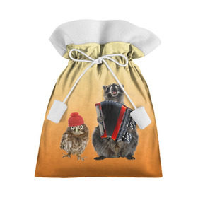 Подарочный 3D мешок с принтом Енот, сова и аккордион в Тюмени, 100% полиэстер | Размер: 29*39 см | животные | музыка