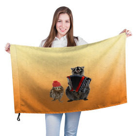 Флаг 3D с принтом Енот, сова и аккордион в Тюмени, 100% полиэстер | плотность ткани — 95 г/м2, размер — 67 х 109 см. Принт наносится с одной стороны | животные | музыка