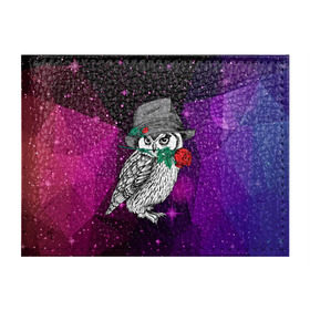 Обложка для студенческого билета с принтом Сова в Тюмени, натуральная кожа | Размер: 11*8 см; Печать на всей внешней стороне | Тематика изображения на принте: 3d | абстракция | арт | звезды | космос | полигоны | птица | сова | цветы