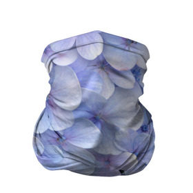 Бандана-труба 3D с принтом Гортензия голубая в Тюмени, 100% полиэстер, ткань с особыми свойствами — Activecool | плотность 150‒180 г/м2; хорошо тянется, но сохраняет форму | hydrangea | лето | нежность | незабудка | цветы