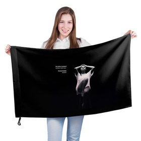 Флаг 3D с принтом Selena Gomez в Тюмени, 100% полиэстер | плотность ткани — 95 г/м2, размер — 67 х 109 см. Принт наносится с одной стороны | selena gomez
