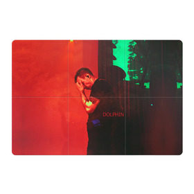 Магнитный плакат 3Х2 с принтом Dolphin в Тюмени, Полимерный материал с магнитным слоем | 6 деталей размером 9*9 см | Тематика изображения на принте: дельфин
