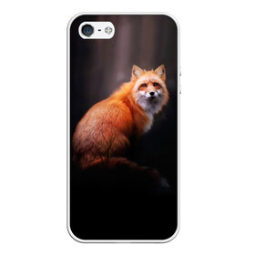 Чехол для iPhone 5/5S матовый с принтом Лис в Тюмени, Силикон | Область печати: задняя сторона чехла, без боковых панелей | forest | fox | лес | лис | лиса | лисица | лисичка