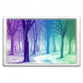 Магнит 45*70 с принтом Мрачный лес в Тюмени, Пластик | Размер: 78*52 мм; Размер печати: 70*45 | вечер | деревья | загадочный | зеленый | земля | зима | лес | необычный | природа | свет | свечение | сибирь | снег | тайга | фиолетовый | яркий