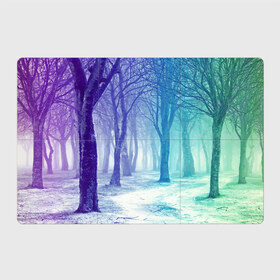 Магнитный плакат 3Х2 с принтом Мрачный лес в Тюмени, Полимерный материал с магнитным слоем | 6 деталей размером 9*9 см | вечер | деревья | загадочный | зеленый | земля | зима | лес | необычный | природа | свет | свечение | сибирь | снег | тайга | фиолетовый | яркий