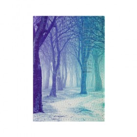 Обложка для паспорта матовая кожа с принтом Мрачный лес в Тюмени, натуральная матовая кожа | размер 19,3 х 13,7 см; прозрачные пластиковые крепления | вечер | деревья | загадочный | зеленый | земля | зима | лес | необычный | природа | свет | свечение | сибирь | снег | тайга | фиолетовый | яркий