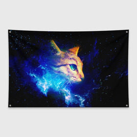 Флаг-баннер с принтом Звездный кот в Тюмени, 100% полиэстер | размер 67 х 109 см, плотность ткани — 95 г/м2; по краям флага есть четыре люверса для крепления | звезды | кот | мордочка | темный