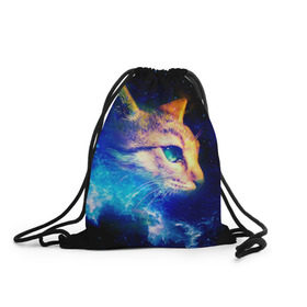 Рюкзак-мешок 3D с принтом Звездный кот в Тюмени, 100% полиэстер | плотность ткани — 200 г/м2, размер — 35 х 45 см; лямки — толстые шнурки, застежка на шнуровке, без карманов и подкладки | Тематика изображения на принте: звезды | кот | мордочка | темный