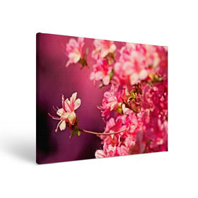 Холст прямоугольный с принтом Сакура в Тюмени, 100% ПВХ |  | Тематика изображения на принте: 3d | flower | nature | pink | sakura | весна | деревья | природа | розовый | сакура | цветы | япония
