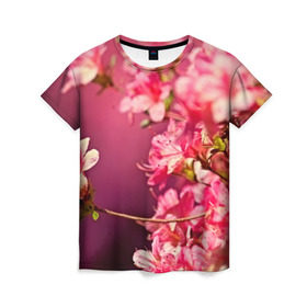 Женская футболка 3D с принтом Сакура в Тюмени, 100% полиэфир ( синтетическое хлопкоподобное полотно) | прямой крой, круглый вырез горловины, длина до линии бедер | 3d | flower | nature | pink | sakura | весна | деревья | природа | розовый | сакура | цветы | япония