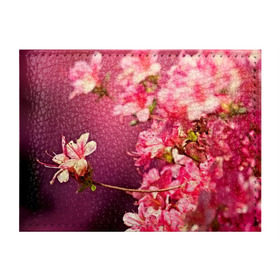 Обложка для студенческого билета с принтом Сакура в Тюмени, натуральная кожа | Размер: 11*8 см; Печать на всей внешней стороне | 3d | flower | nature | pink | sakura | весна | деревья | природа | розовый | сакура | цветы | япония