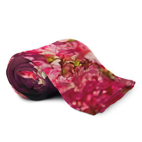 Плед 3D с принтом Сакура в Тюмени, 100% полиэстер | закругленные углы, все края обработаны. Ткань не мнется и не растягивается | 3d | flower | nature | pink | sakura | весна | деревья | природа | розовый | сакура | цветы | япония