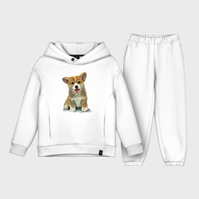 Детский костюм хлопок Oversize с принтом Коржик в Тюмени,  |  | corgi | dog | korgi | вельш корги | дог | кардиган | корги | пемброк | собака | щенок