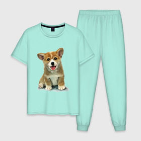 Мужская пижама хлопок с принтом Коржик в Тюмени, 100% хлопок | брюки и футболка прямого кроя, без карманов, на брюках мягкая резинка на поясе и по низу штанин
 | corgi | dog | korgi | вельш корги | дог | кардиган | корги | пемброк | собака | щенок