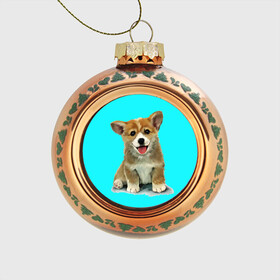 Стеклянный ёлочный шар с принтом Корги в Тюмени, Стекло | Диаметр: 80 мм | corgy | dog | korgi | puppy | вельш корги | кардиган | коржик | пемброк | собака | щенок
