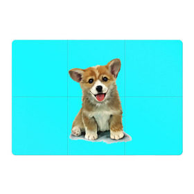 Магнитный плакат 3Х2 с принтом Корги в Тюмени, Полимерный материал с магнитным слоем | 6 деталей размером 9*9 см | Тематика изображения на принте: corgy | dog | korgi | puppy | вельш корги | кардиган | коржик | пемброк | собака | щенок