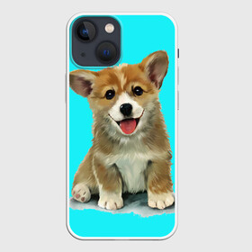 Чехол для iPhone 13 mini с принтом Корги в Тюмени,  |  | corgy | dog | korgi | puppy | вельш корги | кардиган | коржик | пемброк | собака | щенок