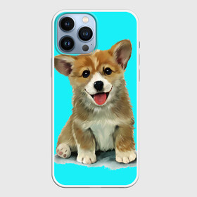 Чехол для iPhone 13 Pro Max с принтом Корги в Тюмени,  |  | corgy | dog | korgi | puppy | вельш корги | кардиган | коржик | пемброк | собака | щенок