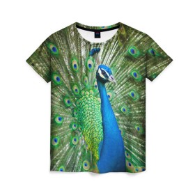 Женская футболка 3D с принтом Павлин в Тюмени, 100% полиэфир ( синтетическое хлопкоподобное полотно) | прямой крой, круглый вырез горловины, длина до линии бедер | павлин | перо