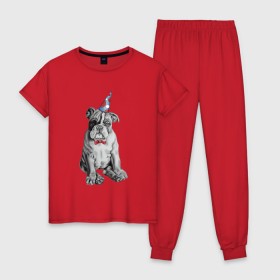 Женская пижама хлопок с принтом праздничный бульдог в Тюмени, 100% хлопок | брюки и футболка прямого кроя, без карманов, на брюках мягкая резинка на поясе и по низу штанин | dog | happy | бабочка | бульдог | день рождение | дог | собака