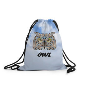 Рюкзак-мешок 3D с принтом Owl в Тюмени, 100% полиэстер | плотность ткани — 200 г/м2, размер — 35 х 45 см; лямки — толстые шнурки, застежка на шнуровке, без карманов и подкладки | owl | животные | полуночник | природа | сова | сыч | филин | этника