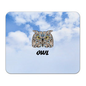 Коврик прямоугольный с принтом Owl в Тюмени, натуральный каучук | размер 230 х 185 мм; запечатка лицевой стороны | owl | животные | полуночник | природа | сова | сыч | филин | этника