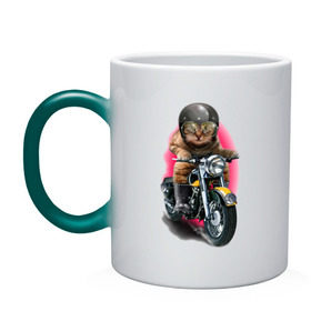 Кружка хамелеон с принтом Кот мотоциклист в Тюмени, керамика | меняет цвет при нагревании, емкость 330 мл | moto | киса | кот | котэ | мото | мотоцикл | очки | шлем