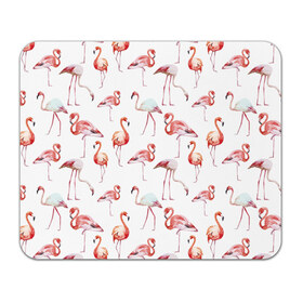 Коврик прямоугольный с принтом Фламинго в Тюмени, натуральный каучук | размер 230 х 185 мм; запечатка лицевой стороны | vppdgryphon | арт | краска | прикольные | птицы | фламинго | цветные
