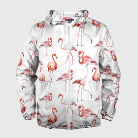 Мужская ветровка 3D с принтом Фламинго в Тюмени, 100% полиэстер | подол и капюшон оформлены резинкой с фиксаторами, два кармана без застежек по бокам, один потайной карман на груди | vppdgryphon | арт | краска | прикольные | птицы | фламинго | цветные