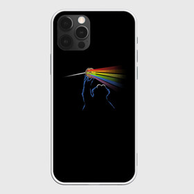 Чехол для iPhone 12 Pro с принтом Pink Floyd Cookie Monster в Тюмени, силикон | область печати: задняя сторона чехла, без боковых панелей | Тематика изображения на принте: монстр | печеньки | улица сезам