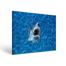 Холст прямоугольный с принтом Пасть акулы в Тюмени, 100% ПВХ |  | Тематика изображения на принте: акула | атака | белая | брызги | вода | волны | зубы | капли | море | океан | опасность | синяя | челюсти | эффект