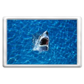 Магнит 45*70 с принтом Пасть акулы в Тюмени, Пластик | Размер: 78*52 мм; Размер печати: 70*45 | акула | атака | белая | брызги | вода | волны | зубы | капли | море | океан | опасность | синяя | челюсти | эффект